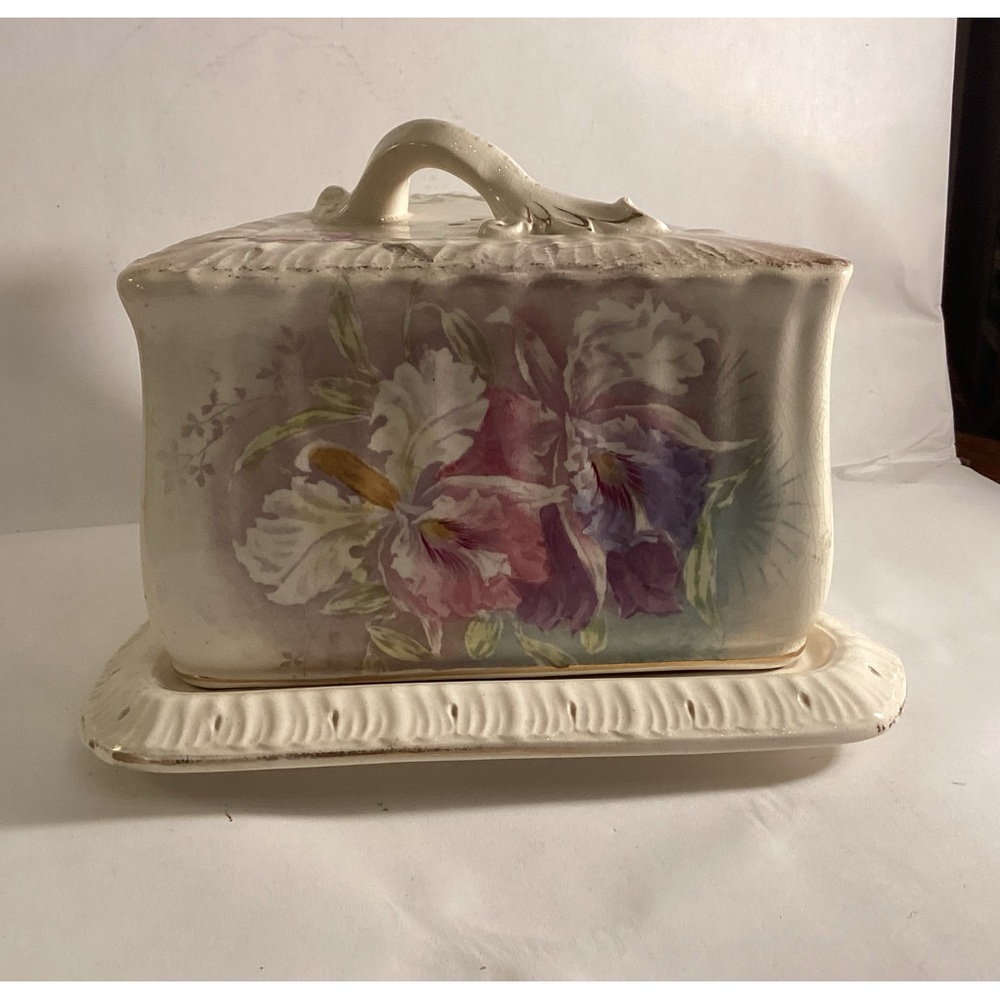 Vintage porcelain cheese keep, Bonn Germany